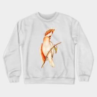 Australian Major Mitchell Cockatoo Bird Illustration Crewneck Sweatshirt